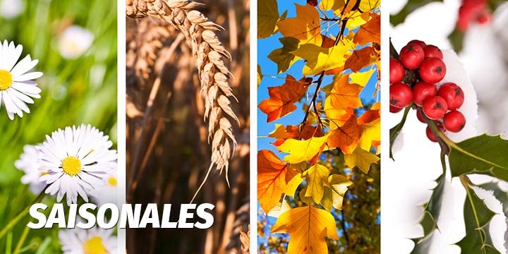 Saisonales