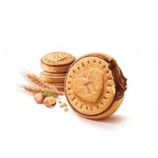 Cookies NUTELLA FERRERO Biscuits – 304gm – Hadiqat Al Sahra