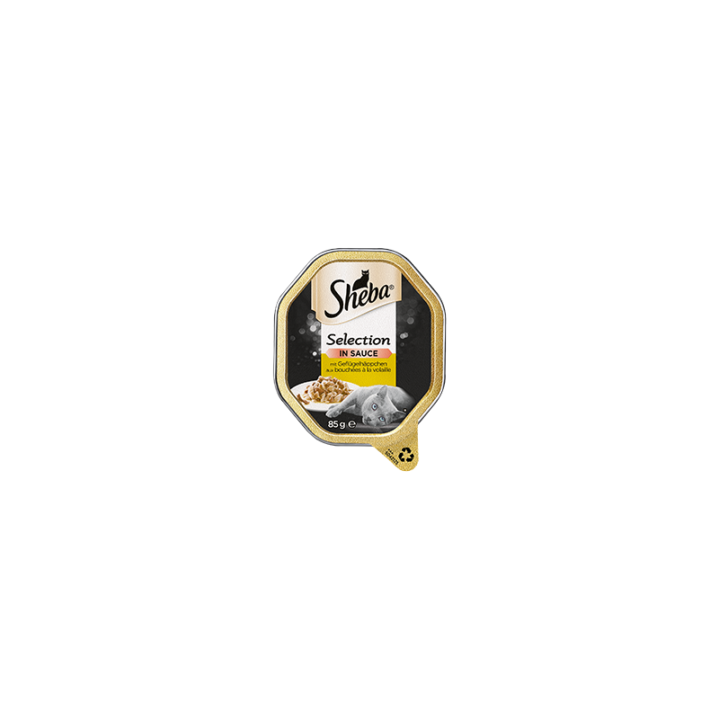 Sheba selection in sauce outlet